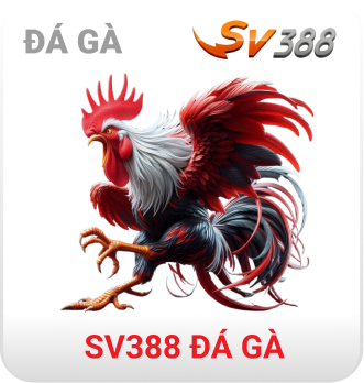 sv388 đá gà